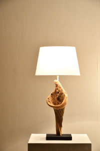 流木ランプ