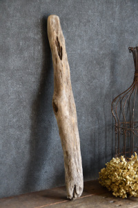 流木棒 長さ50cm～100cm