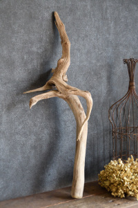 流木棒 長さ50cm～100cm