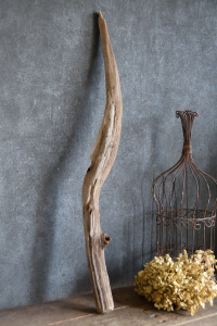 流木棒 長さ50cm～100cm