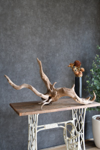 流木販売 特大サイズ