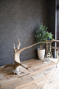 流木販売 特大サイズ