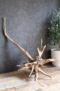 流木販売 特大サイズ