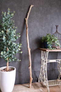 流木棒 長さ150cm～200cm