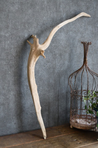 流木棒 長さ50cm～100cm