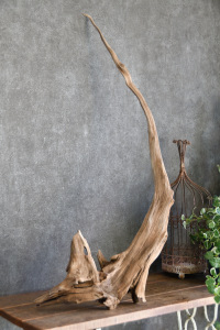 流木販売 特大サイズ