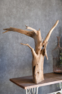 流木販売 特大サイズ